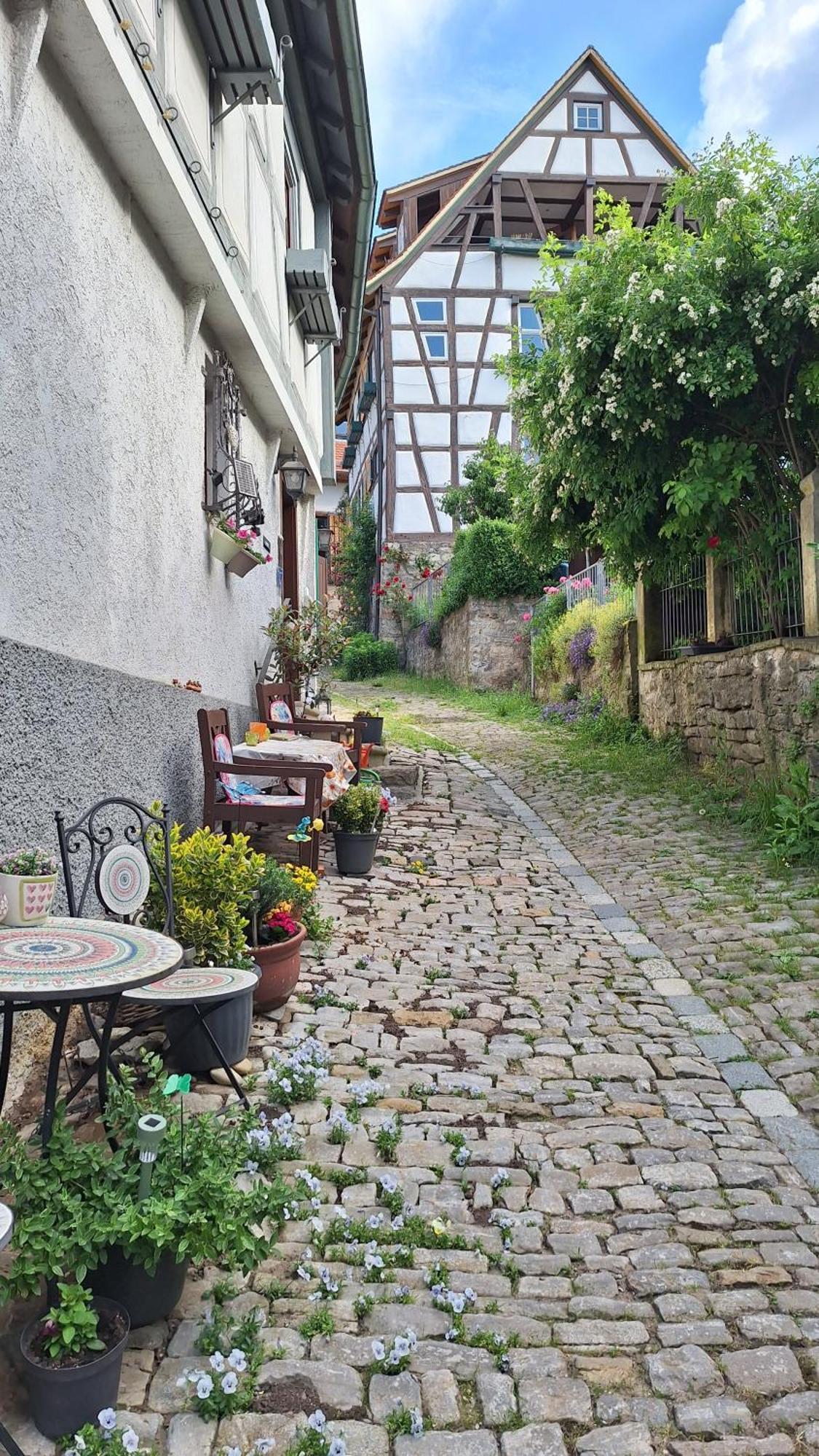 Bad Wimpfen Altstadt - Ruhige, Private Unterkunft Exterior foto